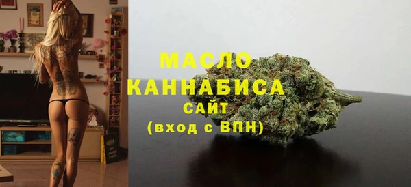 хмурый Аркадак