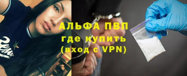 хмурый Аркадак