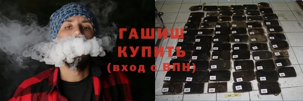 хмурый Аркадак
