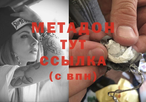 хмурый Аркадак