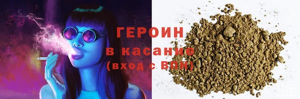 хмурый Аркадак