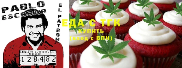 хмурый Аркадак